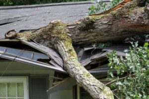 tree fallen on residential roof 